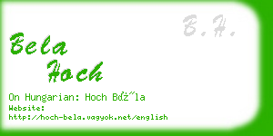 bela hoch business card